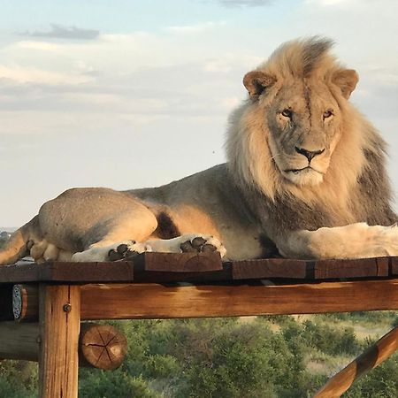 Weltevreden Game Lodge Bloemfontein Zewnętrze zdjęcie