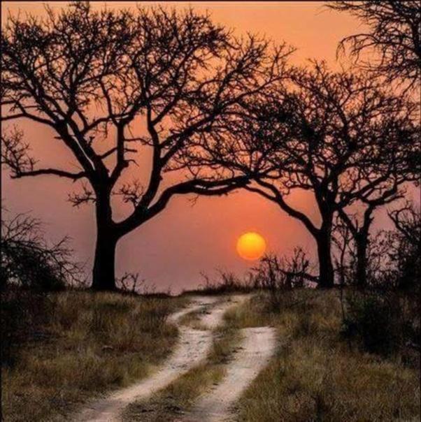 Weltevreden Game Lodge Bloemfontein Zewnętrze zdjęcie