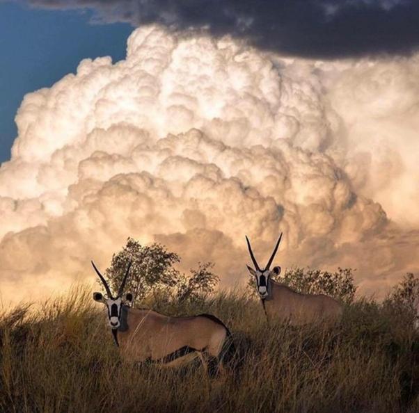 Weltevreden Game Lodge Bloemfontein Zewnętrze zdjęcie
