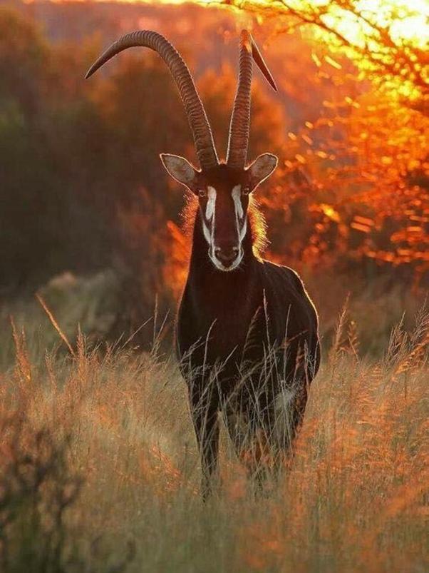Weltevreden Game Lodge Bloemfontein Zewnętrze zdjęcie
