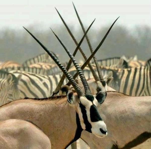 Weltevreden Game Lodge Bloemfontein Zewnętrze zdjęcie