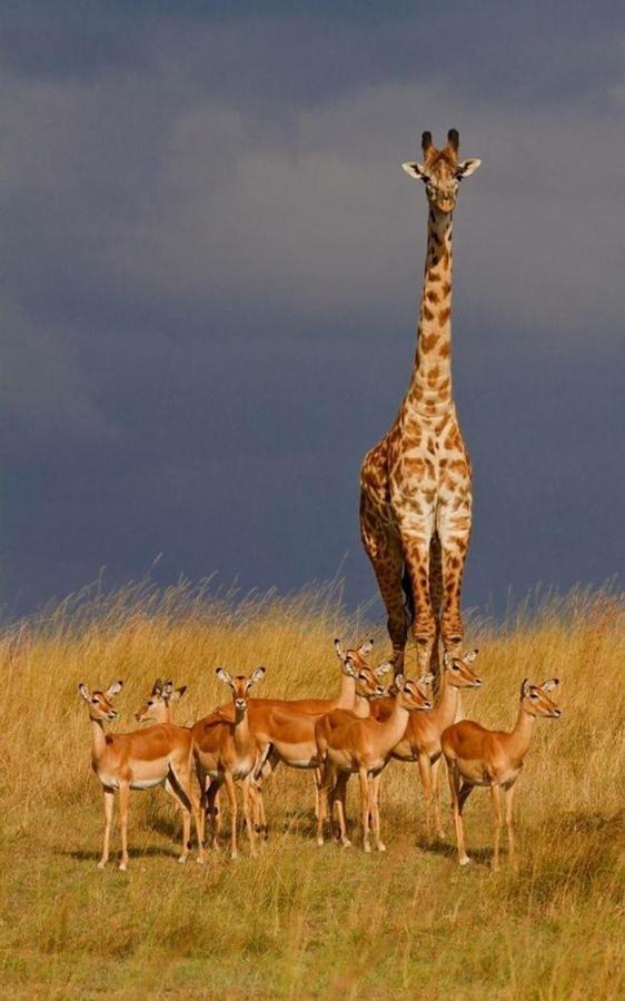 Weltevreden Game Lodge Bloemfontein Zewnętrze zdjęcie