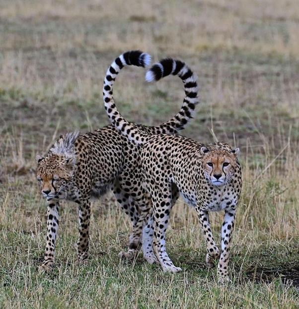 Weltevreden Game Lodge Bloemfontein Zewnętrze zdjęcie