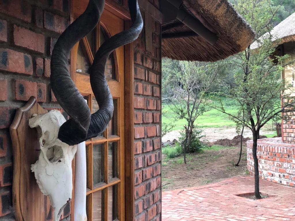 Weltevreden Game Lodge Bloemfontein Zewnętrze zdjęcie