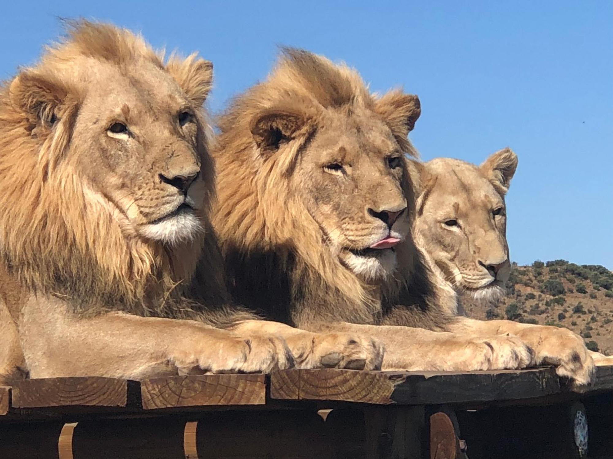 Weltevreden Game Lodge Bloemfontein Zewnętrze zdjęcie